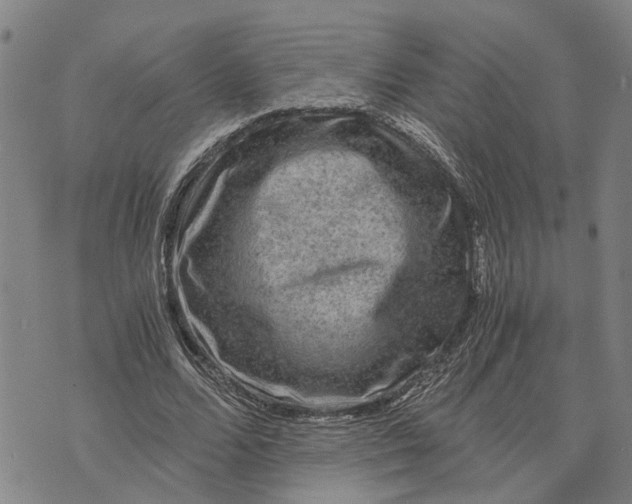 X0000076350680200610161759