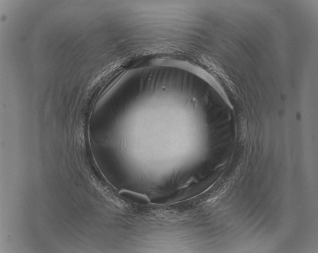 X0000076350681200610161759