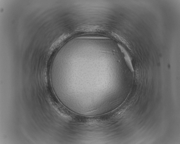 X0000076350682200610161759