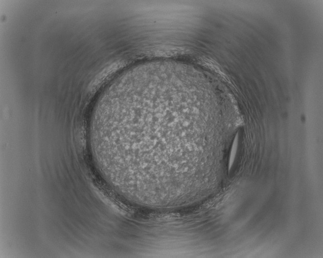 X0000076350683200610161759