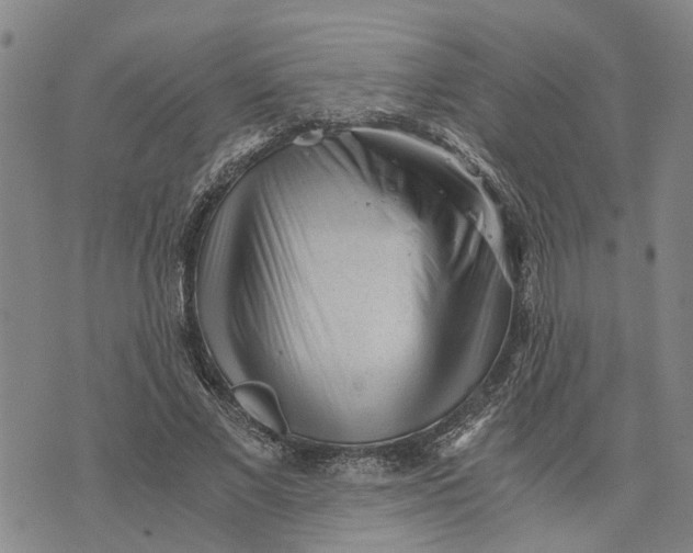 X0000076350685200610161759