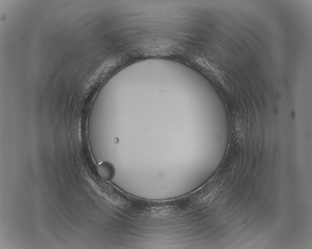 X0000076350686200610161759