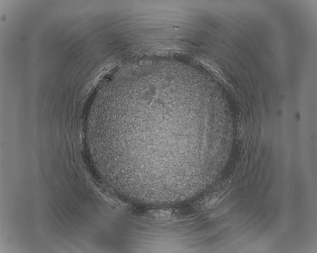 X0000076350687200610161759