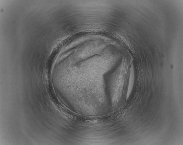 X0000076350688200610161759