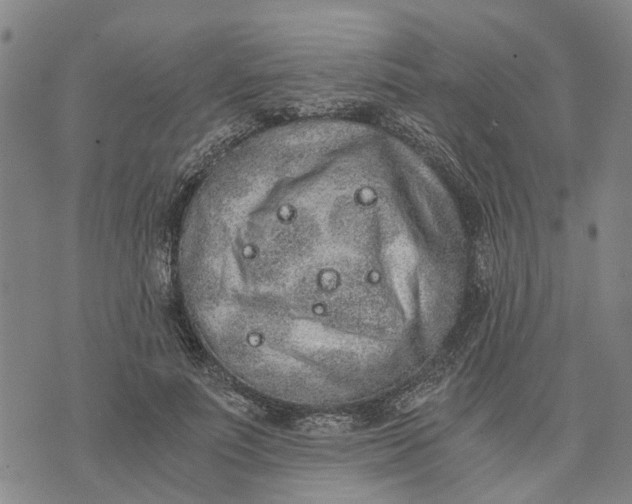 X0000076350691200610161759