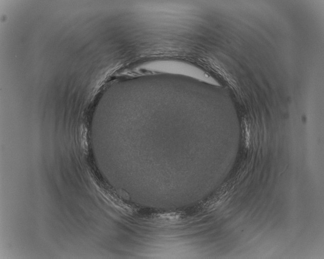 X0000076350692200610161759