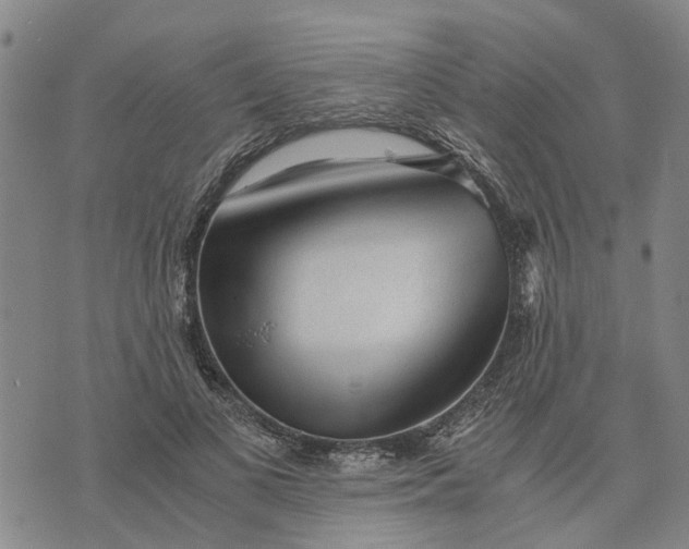 X0000076350693200610161759