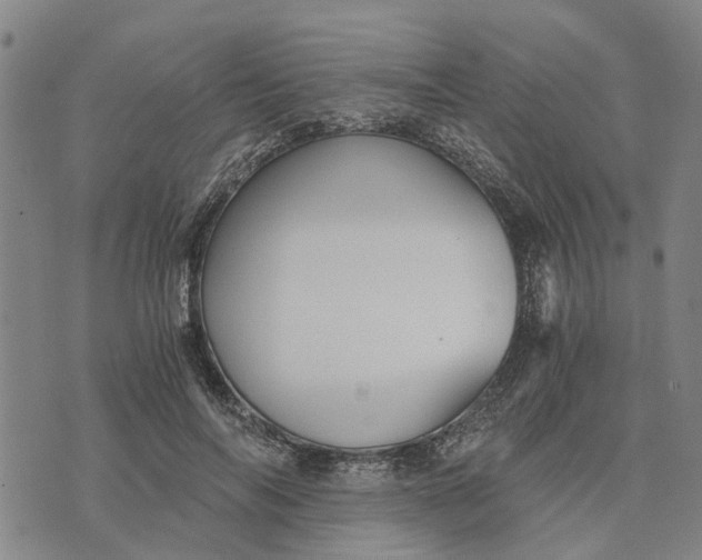 X0000076350694200610161759