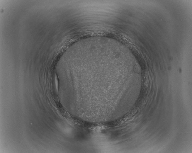 X0000076350695200610161759