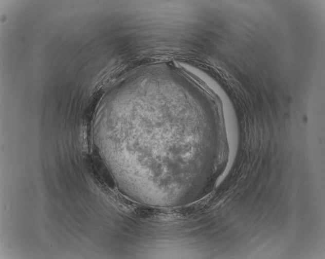 X0000076350696200610161759