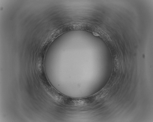 X0000076350698200610161759