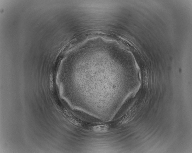 X0000076350700200610161759