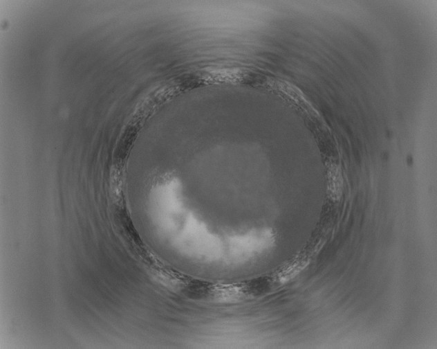 X0000076350701200610161759