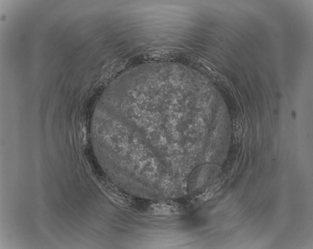 X0000076350703200610161759