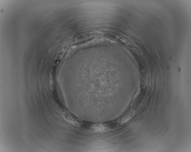 X0000076350704200610161759