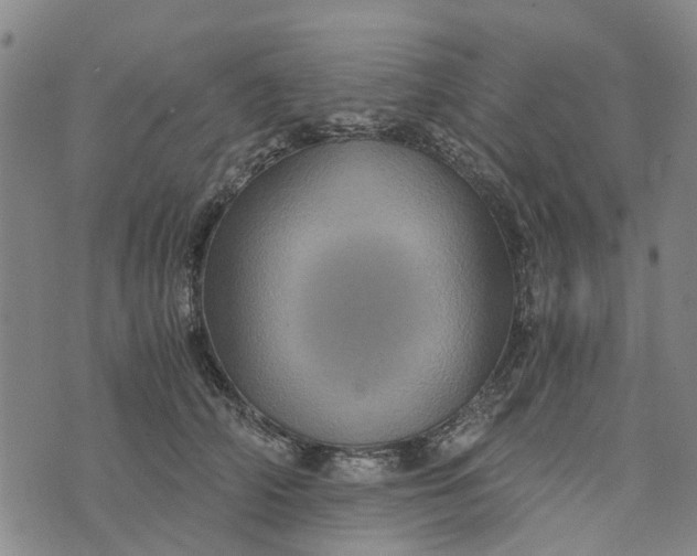 X0000076350706200610161759