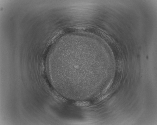 X0000076350707200610161759