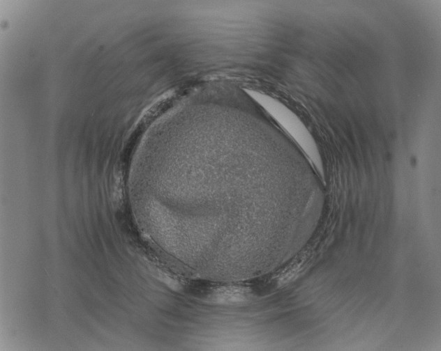 X0000076350708200610161759