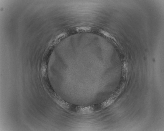 X0000076350709200610161759