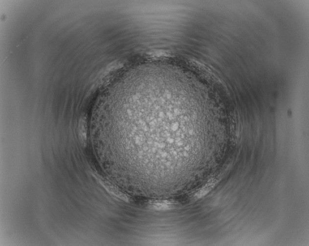 X0000076350710200610161759