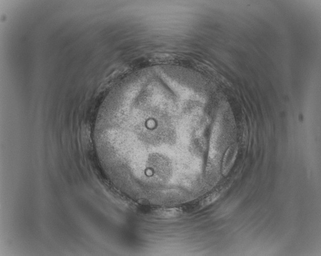 X0000076350711200610161759