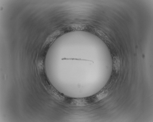 X0000076350713200610161759