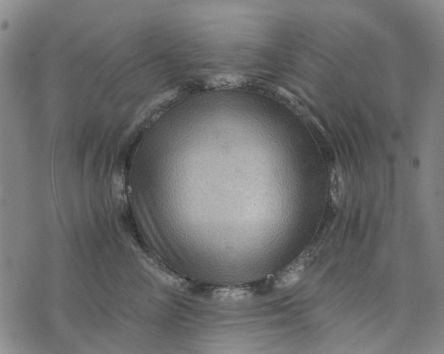 X0000076350714200610161759