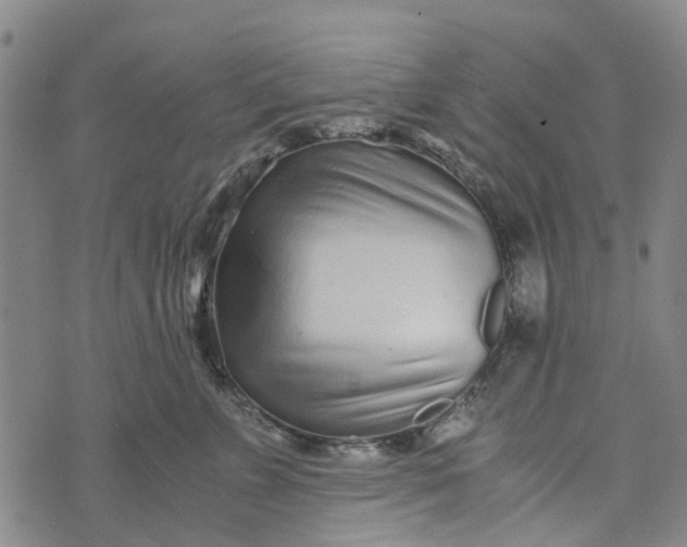 X0000076350715200610161759