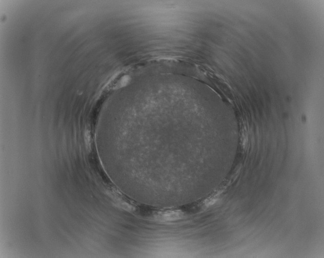 X0000076350716200610161759