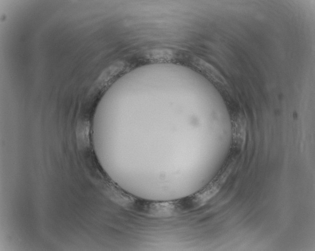 X0000076350717200610161759