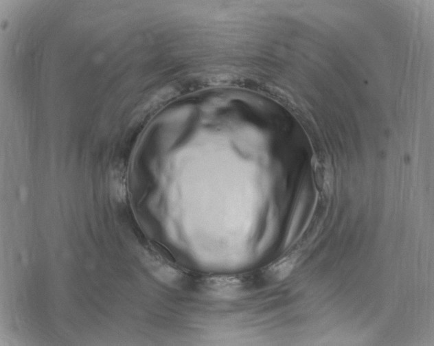 X0000076350719200610161759