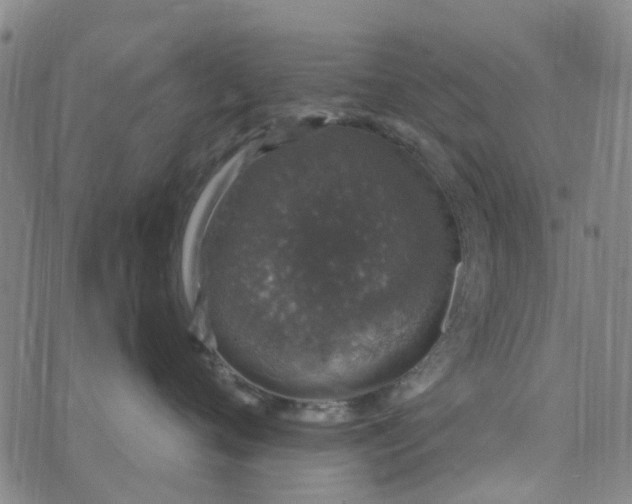 X0000076350720200610161759