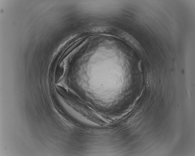 X0000076350722200610161758