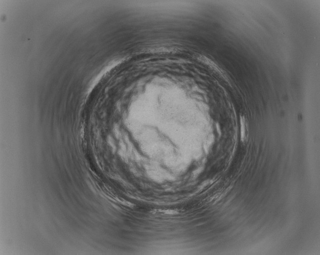 X0000076350723200610161758