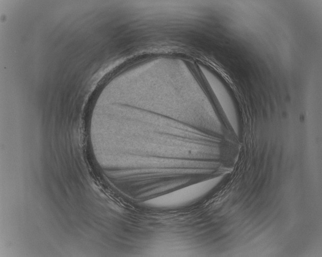 X0000076350724200610161758