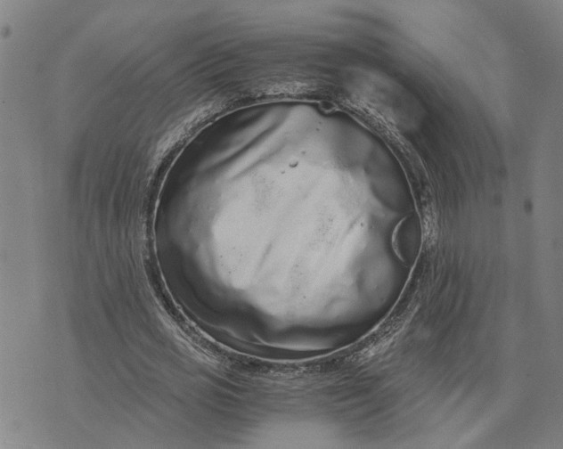 X0000076350725200610161758