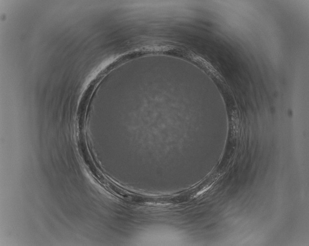 X0000076350726200610161758