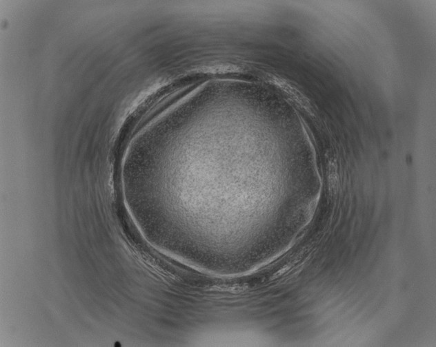 X0000076350727200610161758