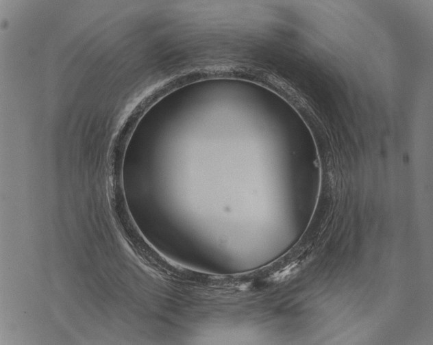 X0000076350728200610161758