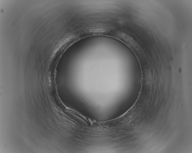 X0000076350731200610161758