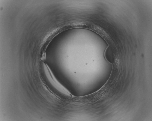 X0000076350732200610161758