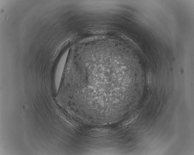 X0000076350733200610161758