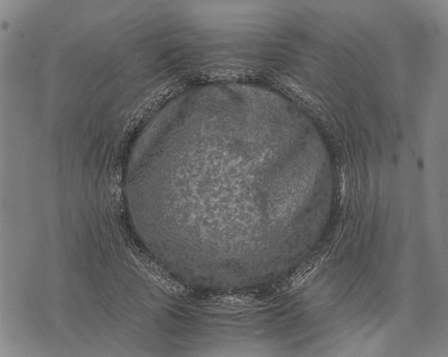 X0000076350737200610161758