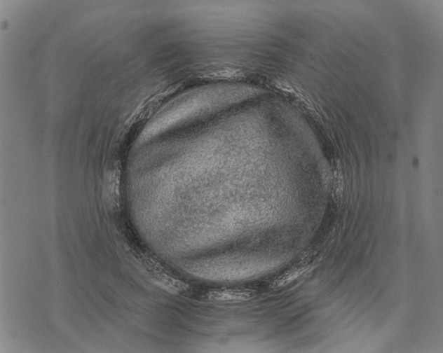 X0000076350739200610161758