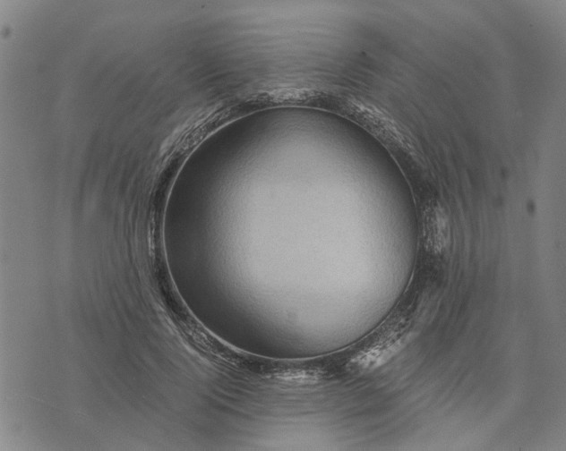 X0000076350740200610161758