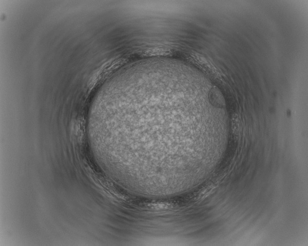 X0000076350741200610161758