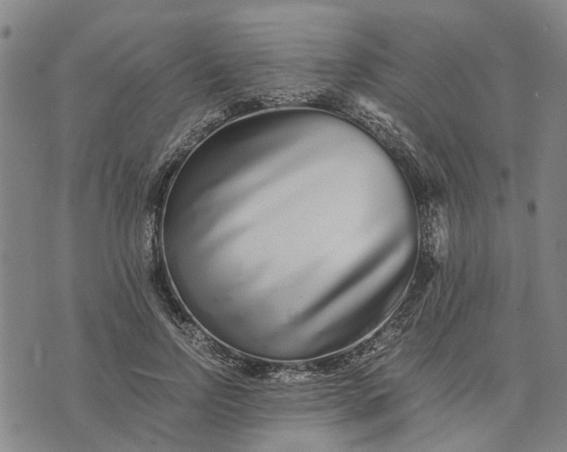 X0000076350742200610161758