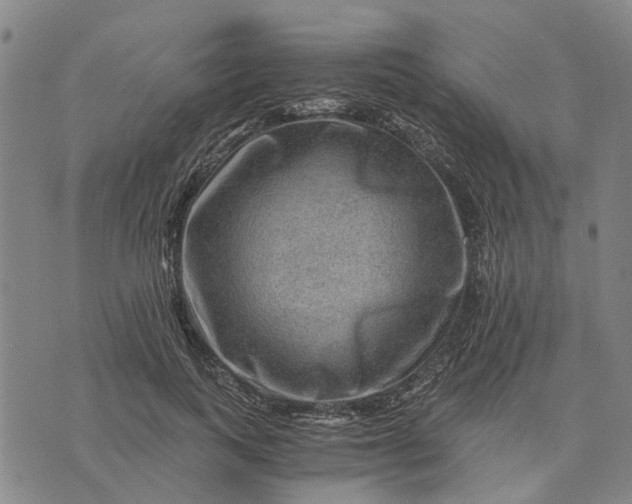 X0000076350743200610161758