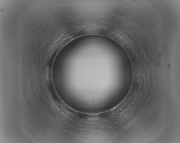 X0000076350744200610161758