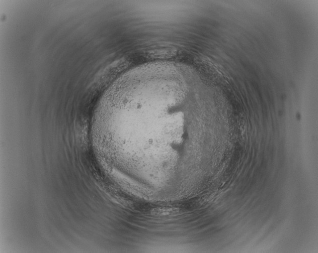 X0000076350745200610161758